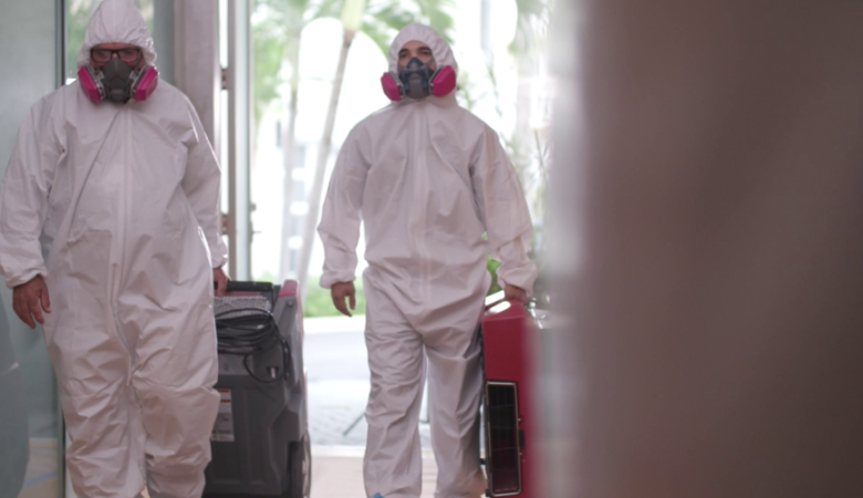 Mold Remediation